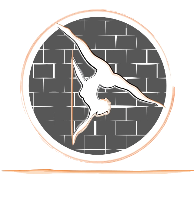 Atelier Pole Passion